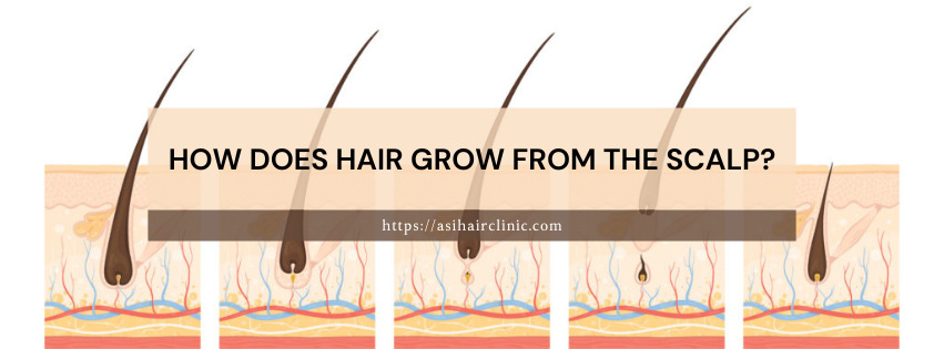 How Does Hair Grow From the Scalp?